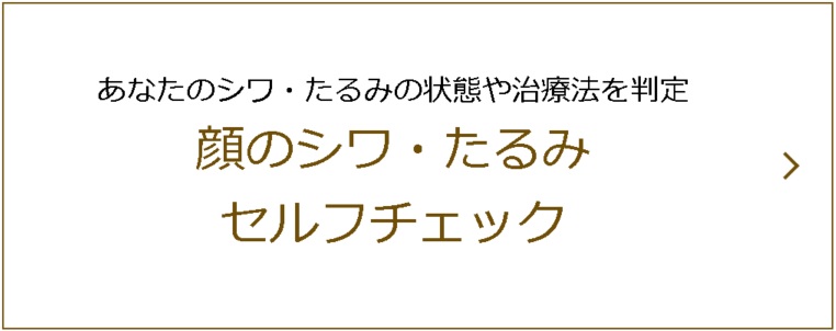 顔のシワたるみ自動診断